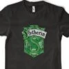 Free Personalisation Harry Potter Slytherin House Chamber Stone Hogwarts Wizard Adults And Kids Unisex T Shirt UK Sizes