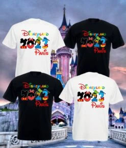 Disneyland Paris 2023 T-Shirt, Matching Family Tee, Disney World 2023, Mickey Minnie Tee, Present Unisex Adult Kids Vacation Gift Top