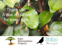 Golf T Shirt, Golf Swing T Shirt, Golf Gift, Golfing Gift, Golfer Present -Fashion Clothing Store il fullxfull.4755867437 f2gc