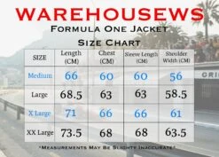 F1 Mercedes Racing Bomber Jacket, Y2K, Embroidered, Unisex -Fashion Clothing Store il fullxfull.5052061420 s6oe